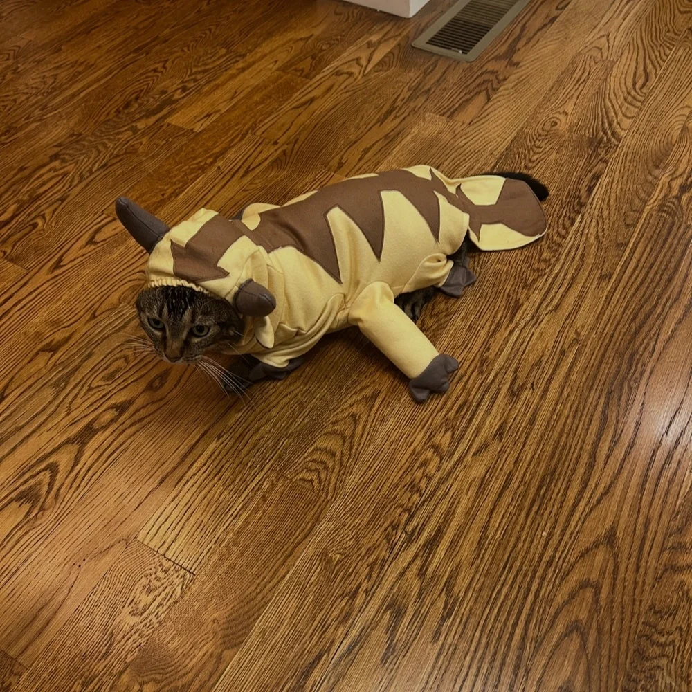 Avatar The Last Airbender Appa Pet Costume for Dogs/Cats